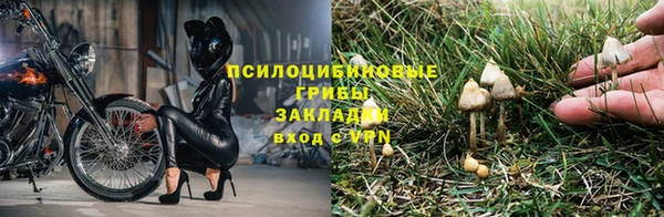ALPHA PVP Абинск